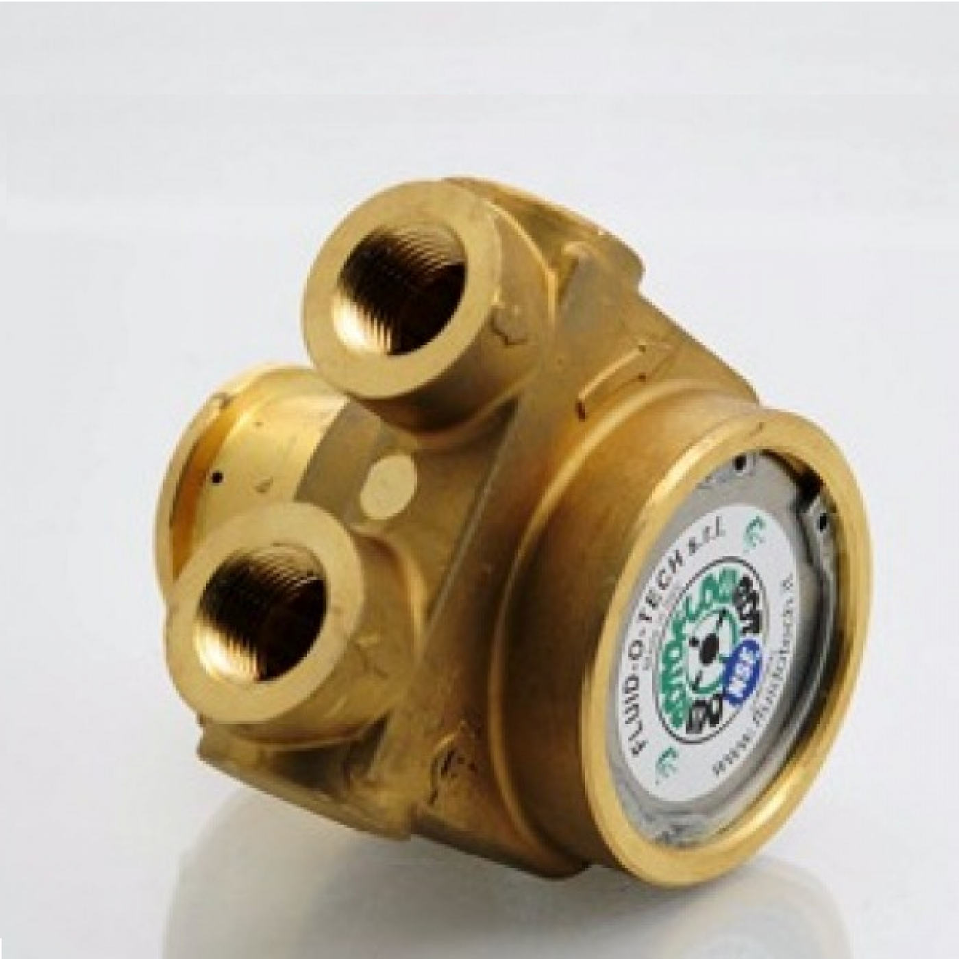 Pompa Rotativa a Palette 300 lt/h con by-pass