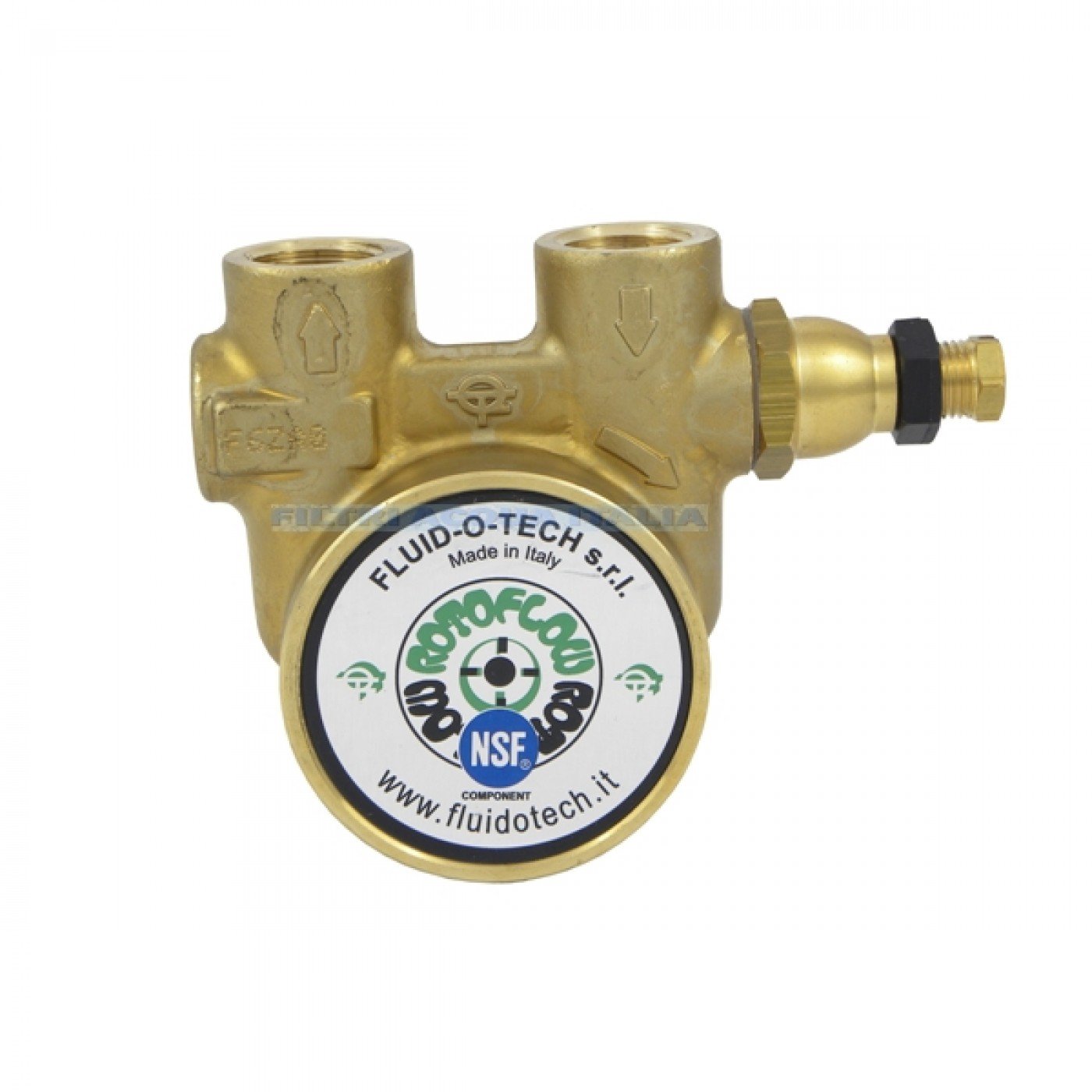 Pompa Rotativa a Palette 600 lt/h con BY PASS