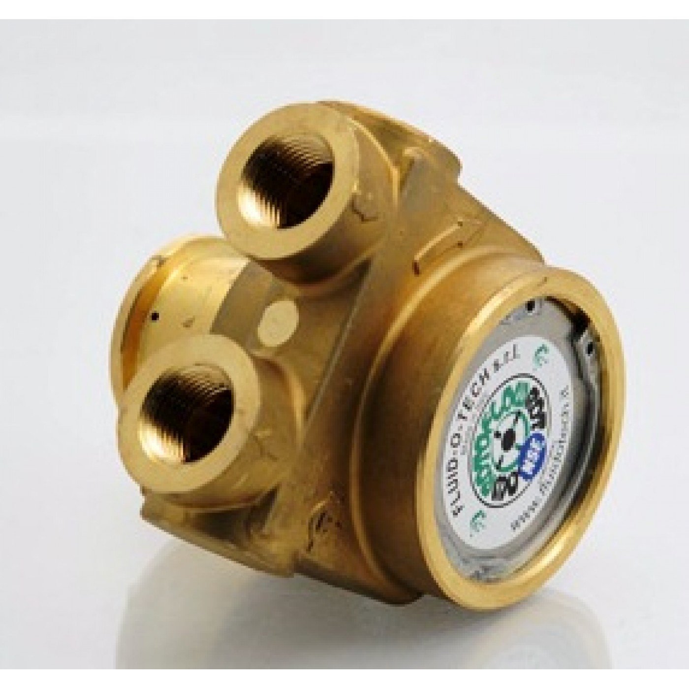 Pompa Rotativa a Palette 600 lt/h con BY PASS