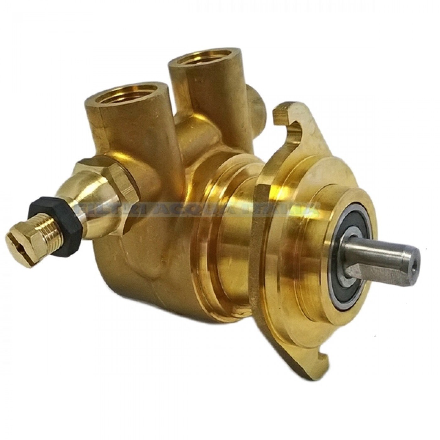 Pompa Rotativa a Palette 600 lt/h con BY PASS