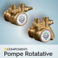 POMPE ROTATIVE A PALETTE